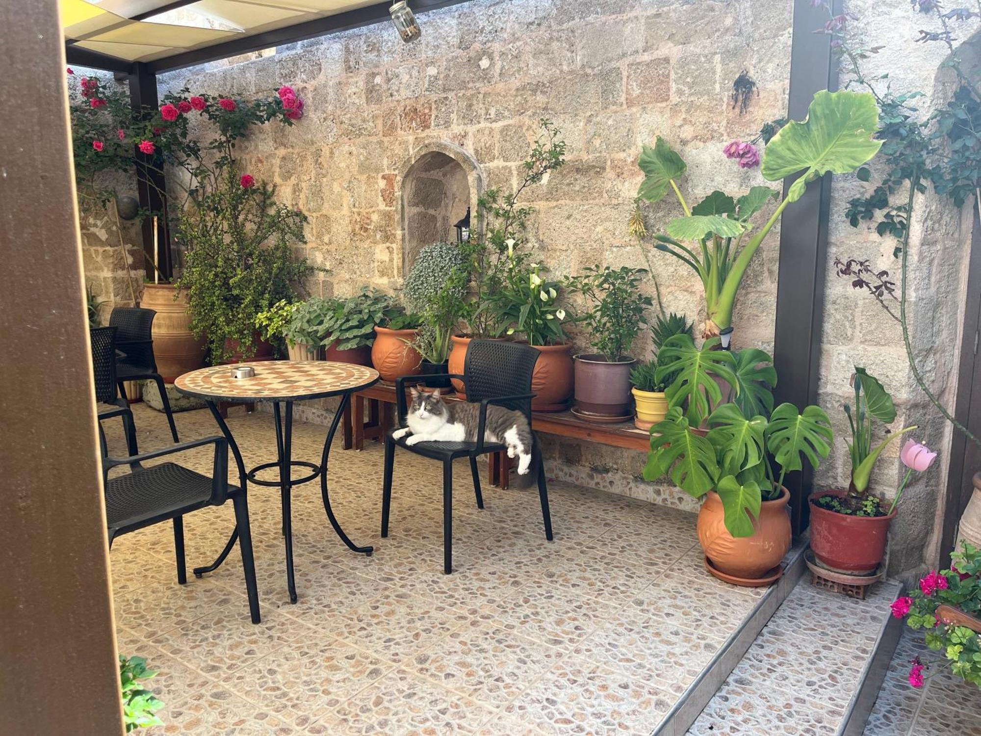 Rhodes City 叶莱尼旅馆酒店 外观 照片